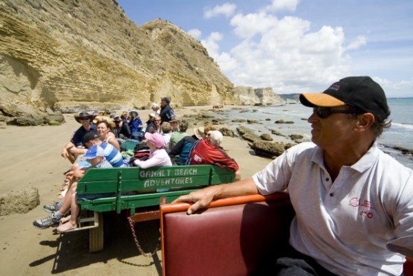 gannet beach adv driver